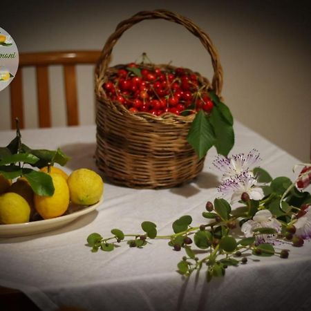 Apartamento Zagare E Limoni Ostuni Exterior foto